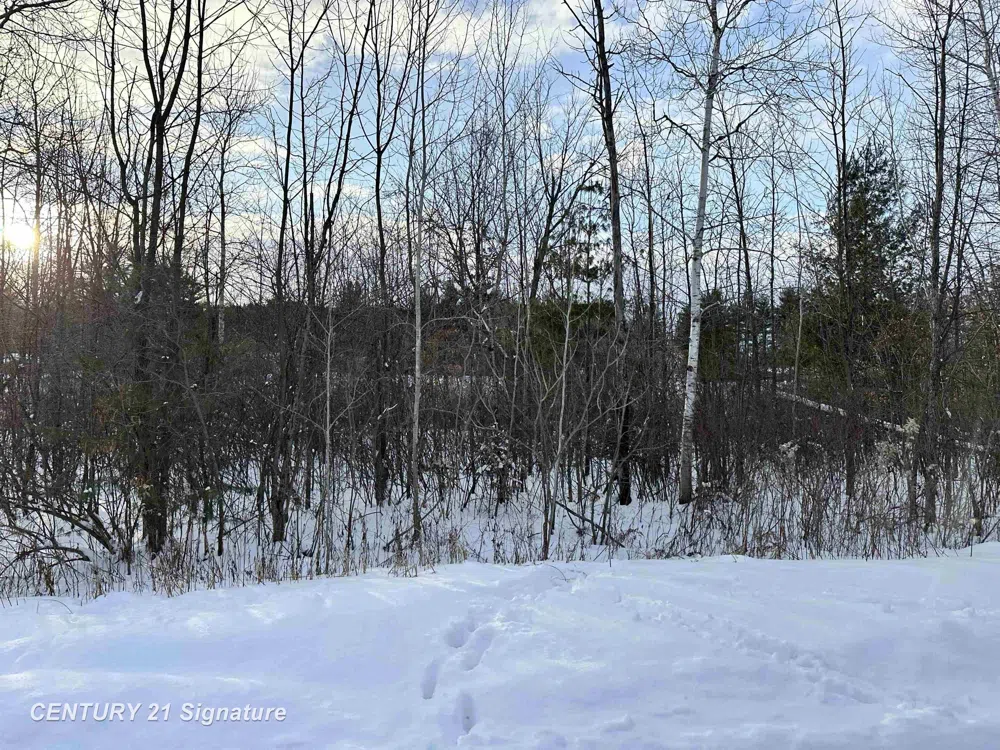 4019 Bay Avenue Billings Township, MI 48612