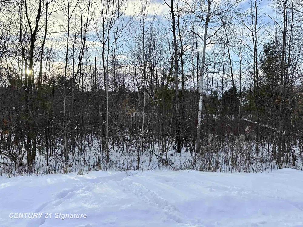 4019 Bay Avenue Billings Township, MI 48612