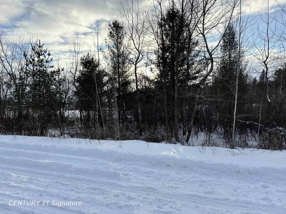 4019 Bay Avenue Billings Township, MI 48612