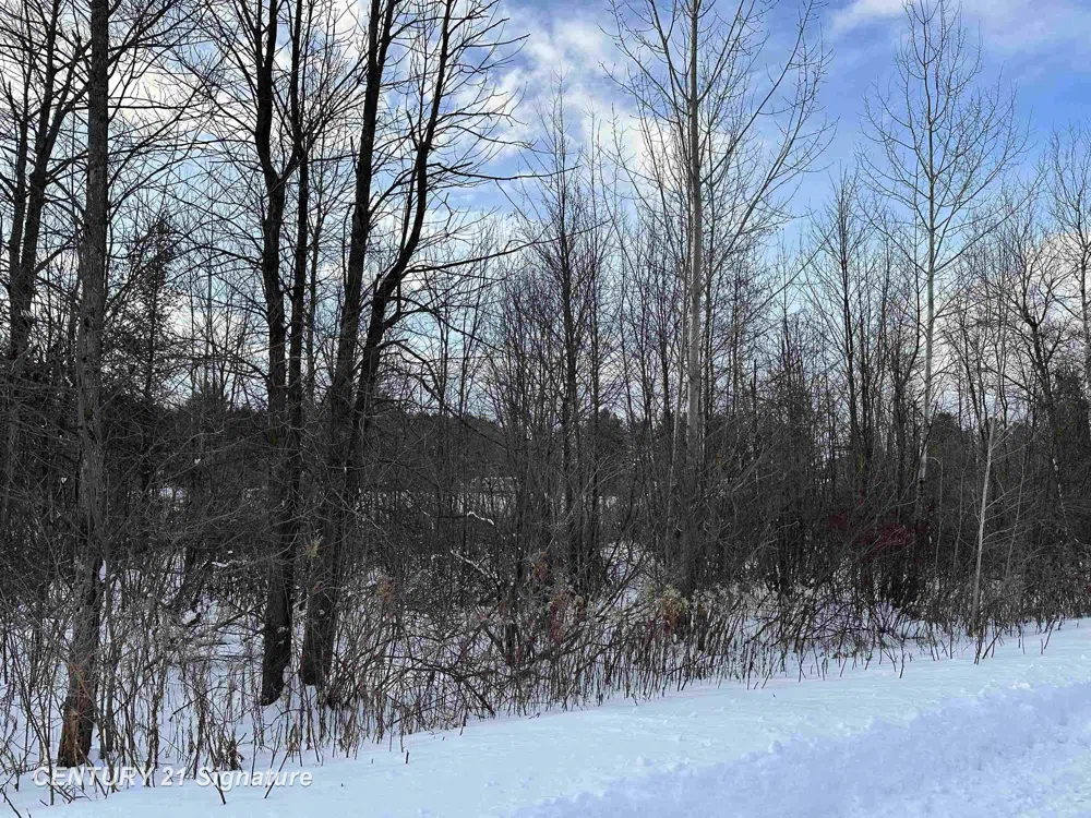 4019 Bay Avenue Billings Township, MI 48612