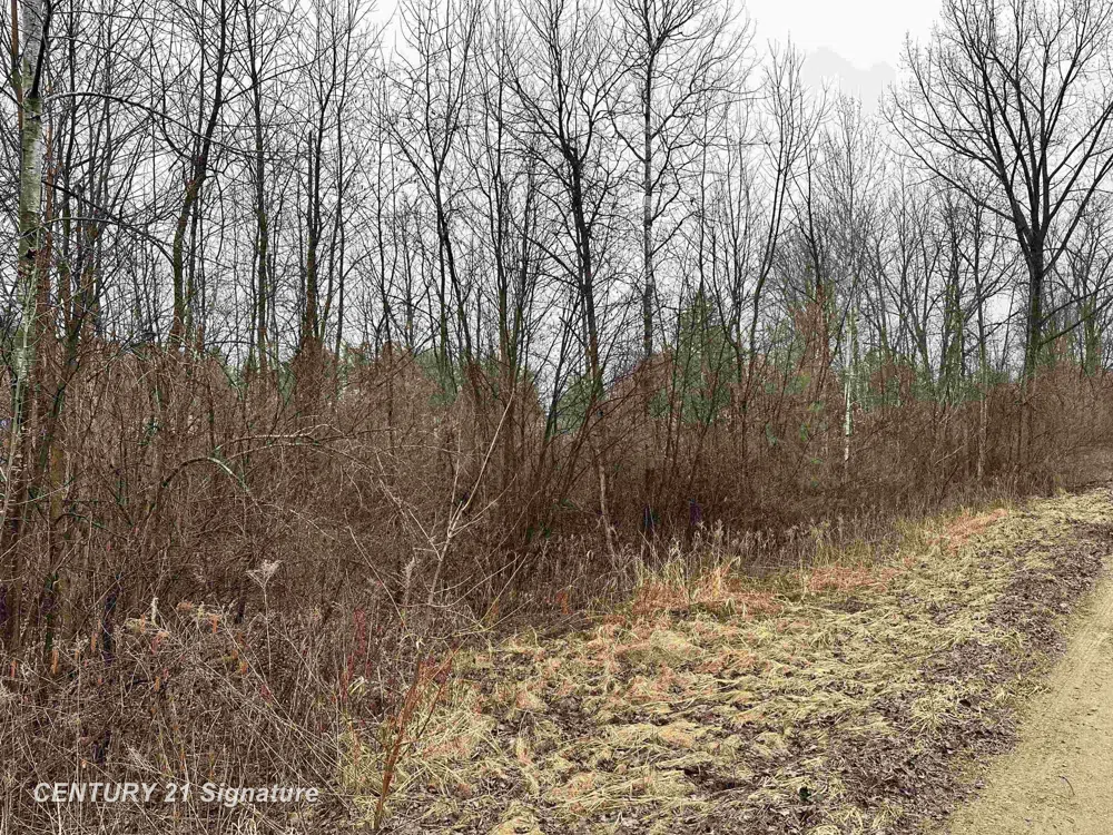 4019 Bay Avenue Billings Township, MI 48612