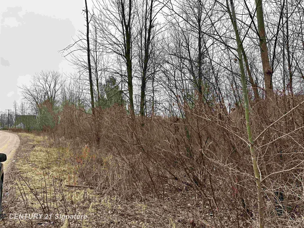 4019 Bay Avenue Billings Township, MI 48612