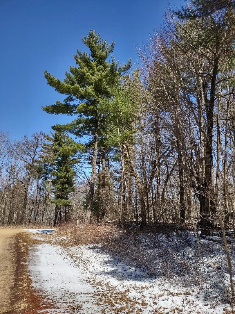 Lot 35 N4XX 297th Street Eau Galle, WI 54737