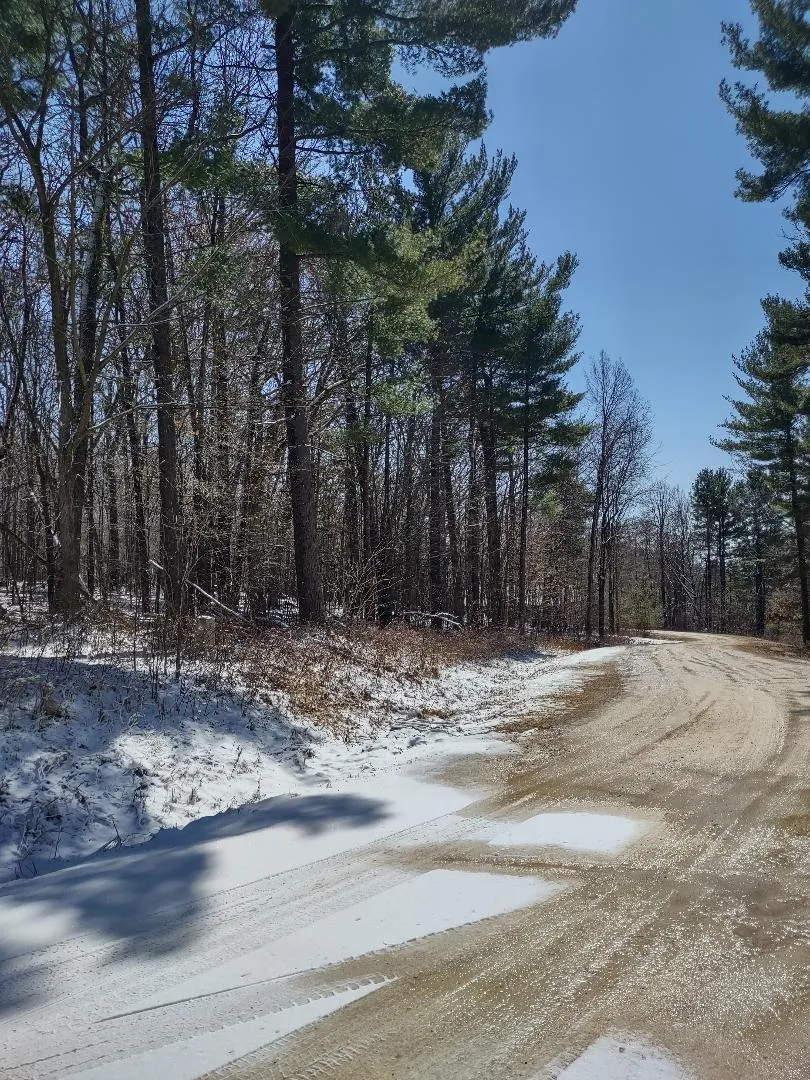 Lot 35 N4XX 297th Street Eau Galle, WI 54737