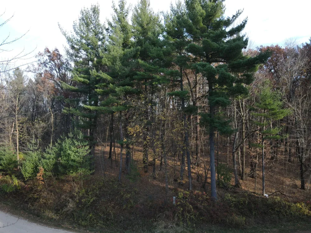 Lot 35 N4XX 297th Street Eau Galle, WI 54737