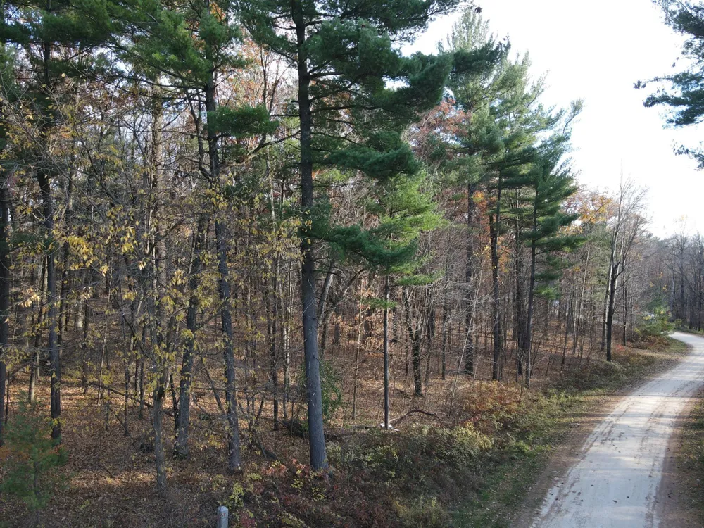Lot 35 N4XX 297th Street Eau Galle, WI 54737