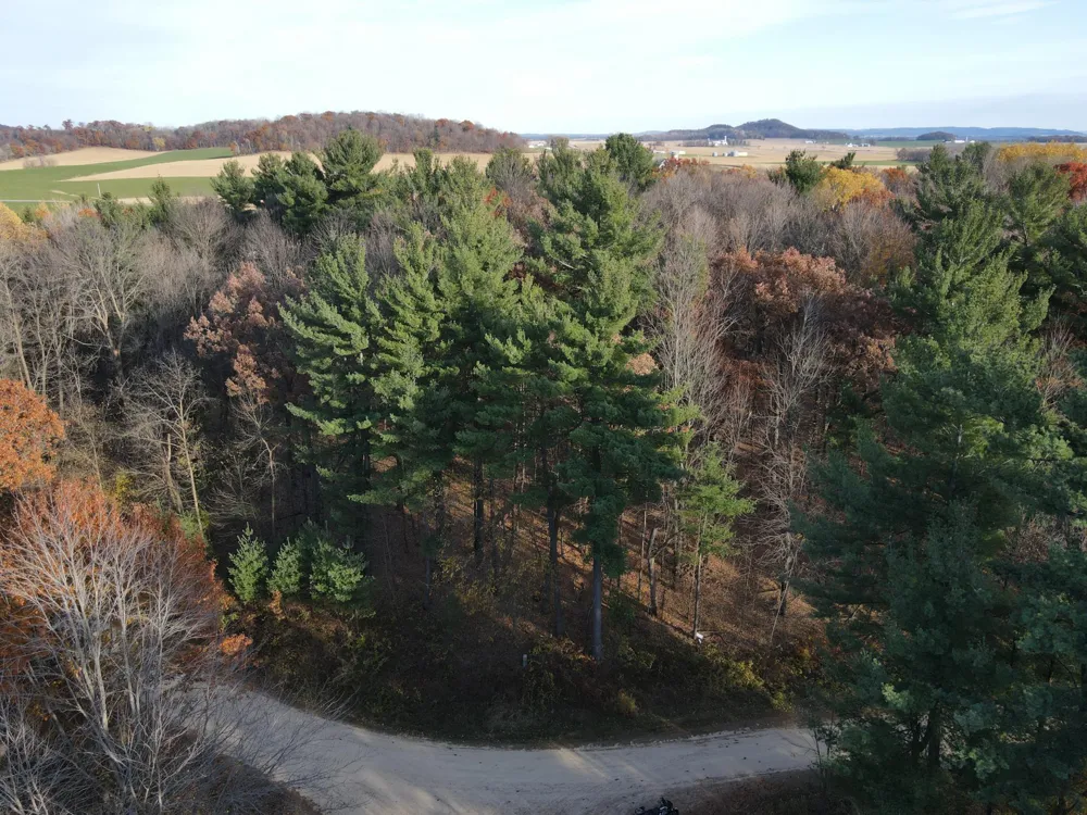 Lot 35 N4XX 297th Street Eau Galle, WI 54737