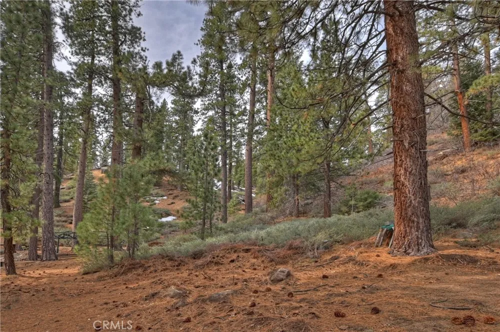 39128 North Shore Fawnskin, CA 92333