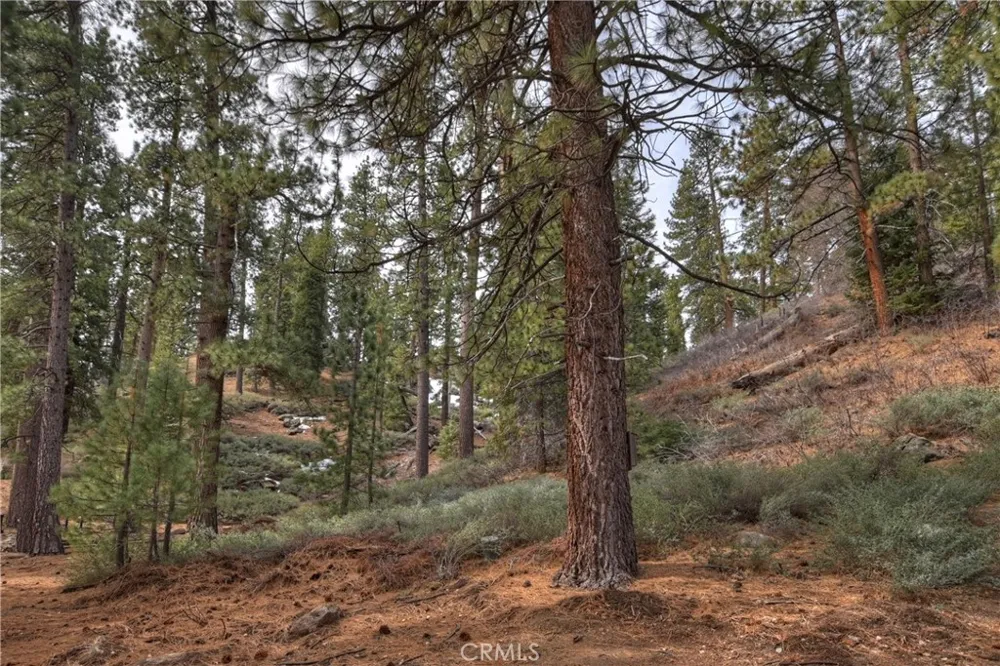 39128 North Shore Fawnskin, CA 92333
