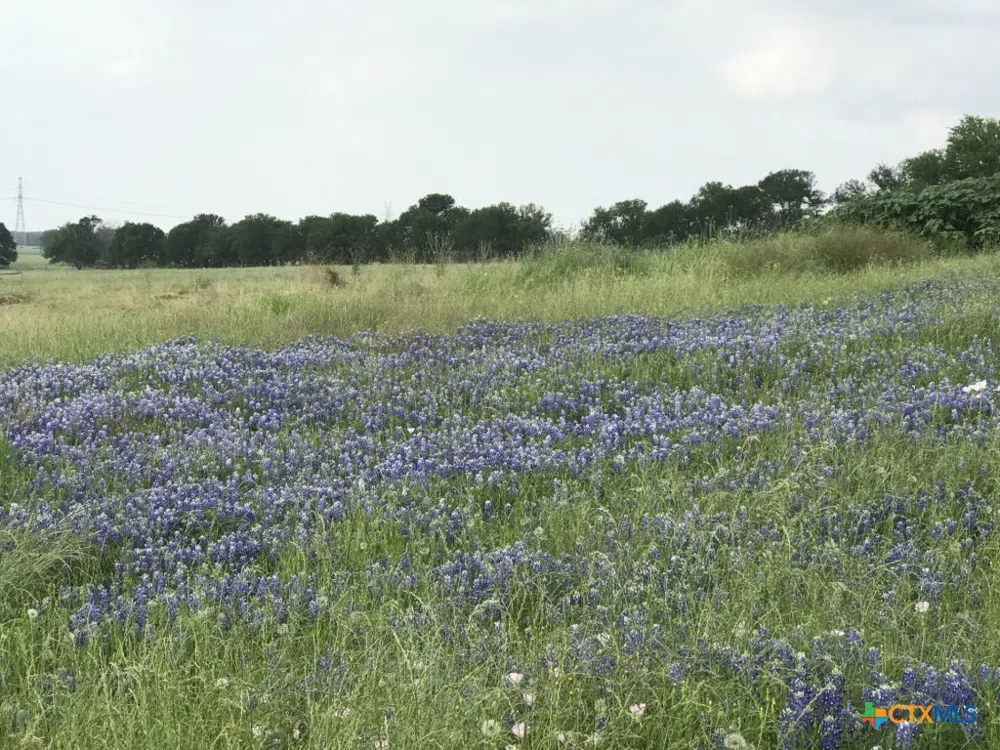 3550 County Road 273 Rosebud, TX 76570
