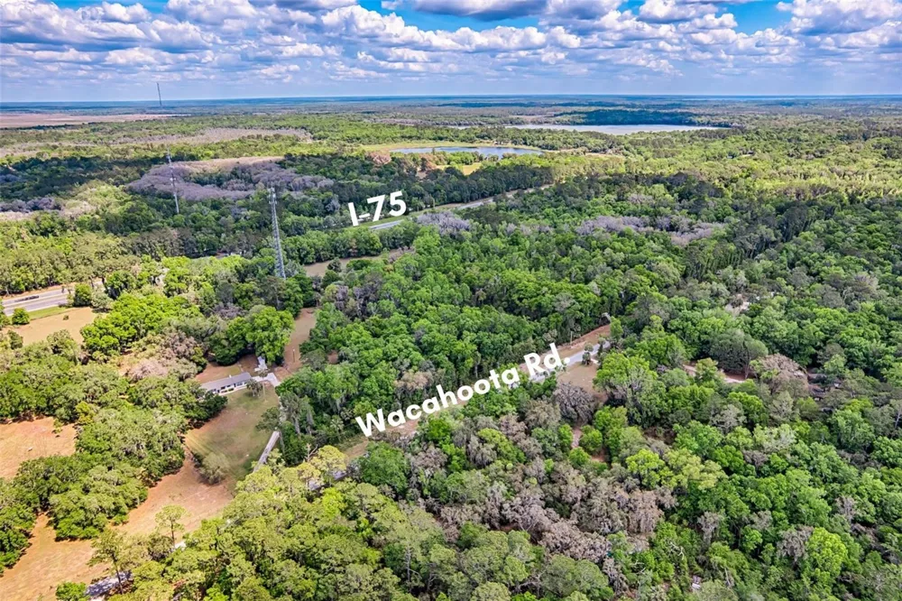 110 SE WACAHOOTA ROAD Micanopy, FL 32667
