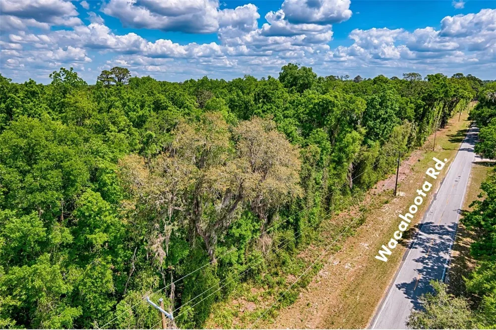 110 SE WACAHOOTA ROAD Micanopy, FL 32667