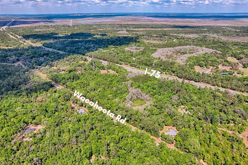110 SE WACAHOOTA ROAD Micanopy, FL 32667