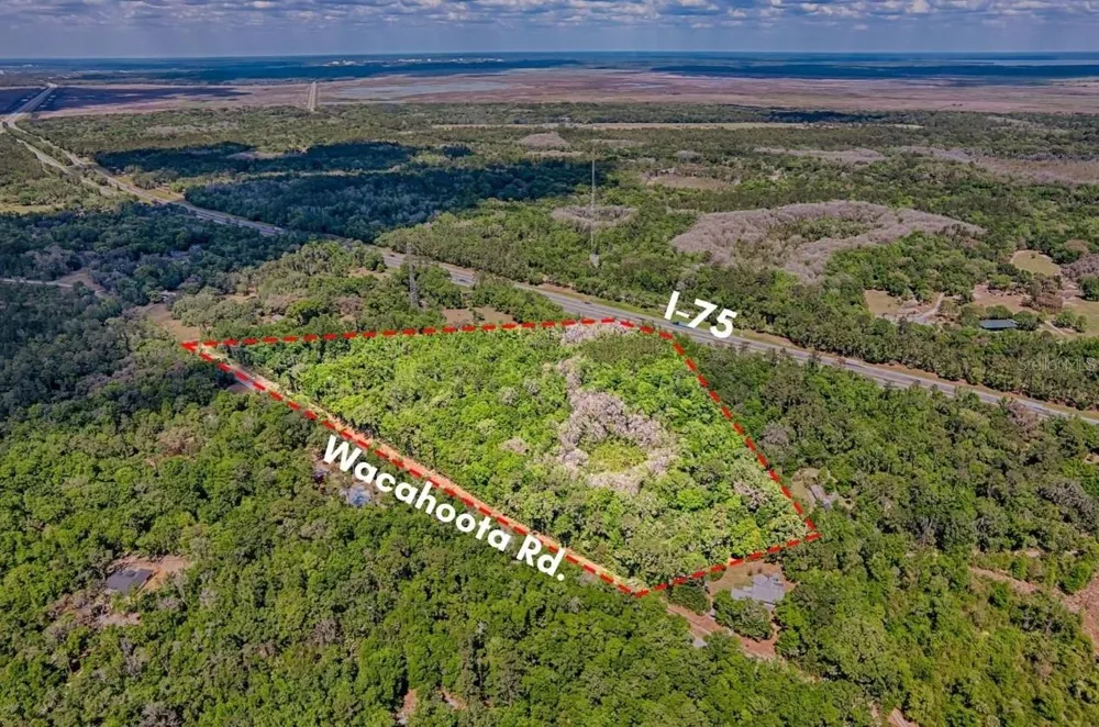 110 SE WACAHOOTA ROAD Micanopy, FL 32667