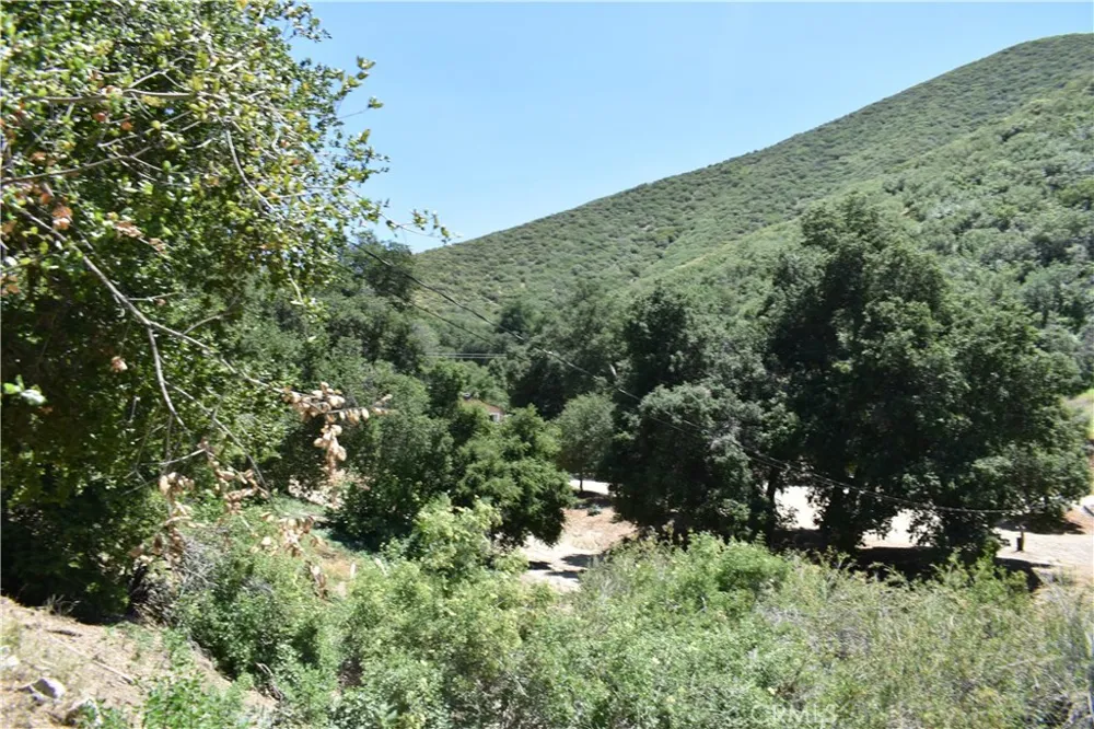 Vac Calle El Baranco/Vic Spunk Green Valley, CA 91350