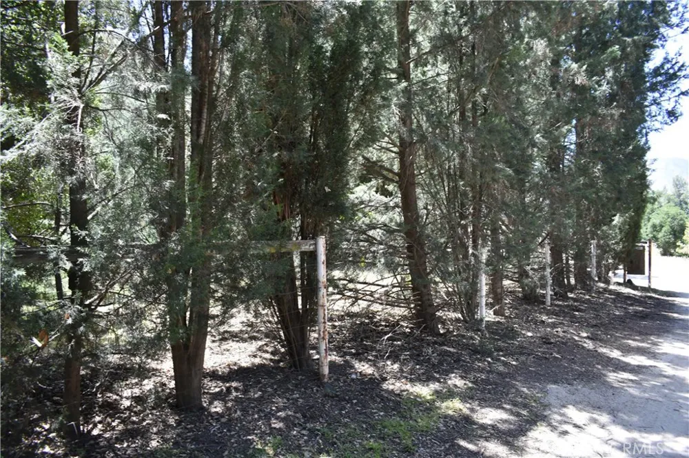 Vac Calle El Baranco/Vic Spunk Green Valley, CA 91350