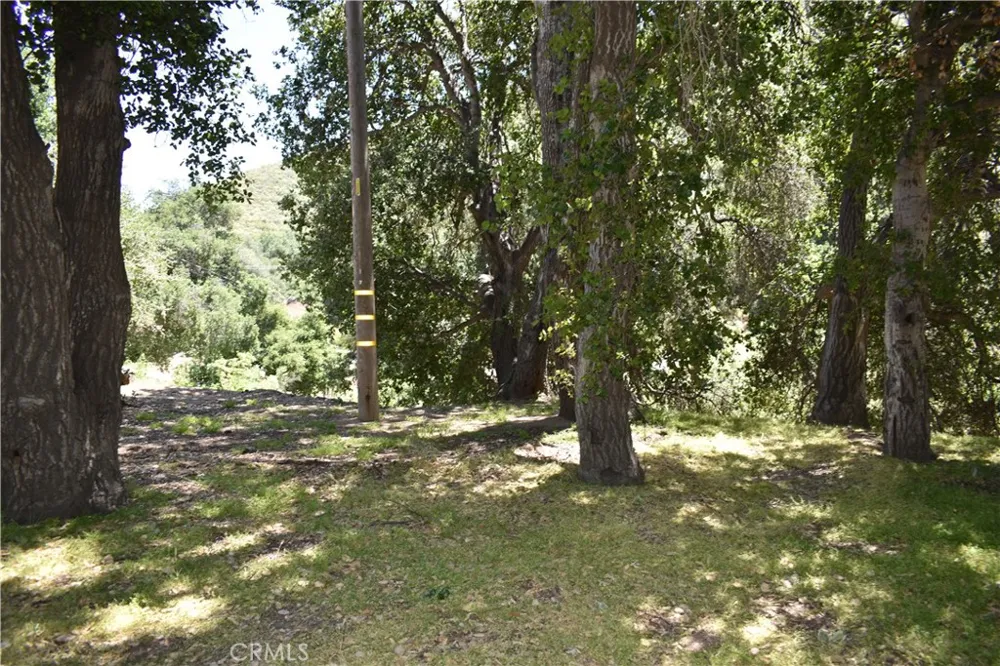 Vac Calle El Baranco/Vic Spunk Green Valley, CA 91350