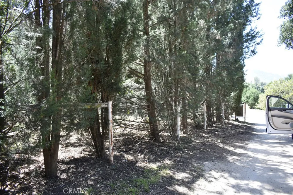 Vac Calle El Baranco/Vic Spunk Green Valley, CA 91350