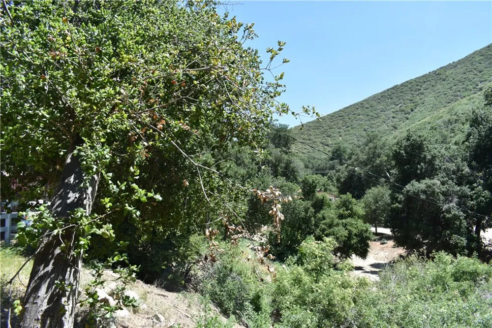 Vac Calle El Baranco/Vic Spunk Green Valley, CA 91350
