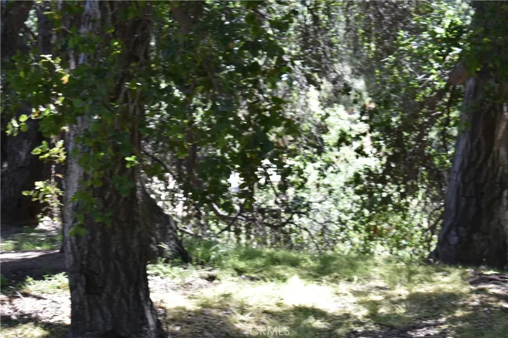 Vac Calle El Baranco/Vic Spunk Green Valley, CA 91350