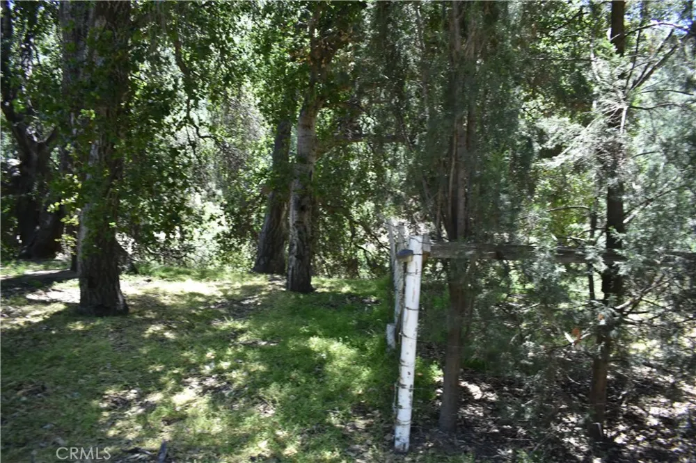 Vac Calle El Baranco/Vic Spunk Green Valley, CA 91350