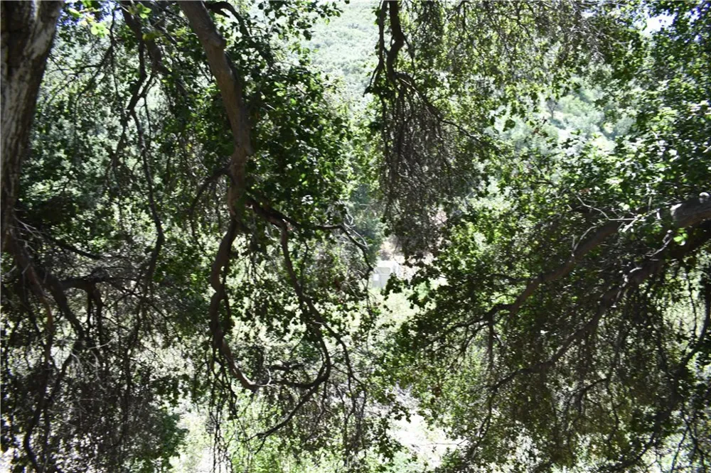 Vac Calle El Baranco/Vic Spunk Green Valley, CA 91350