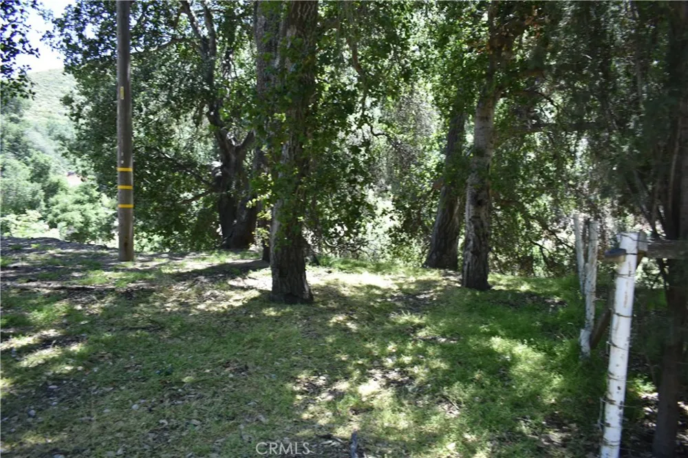 Vac Calle El Baranco/Vic Spunk Green Valley, CA 91350