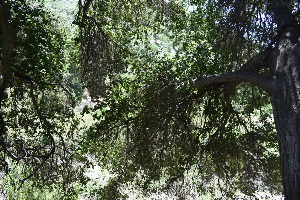 Vac Calle El Baranco/Vic Spunk Green Valley, CA 91350