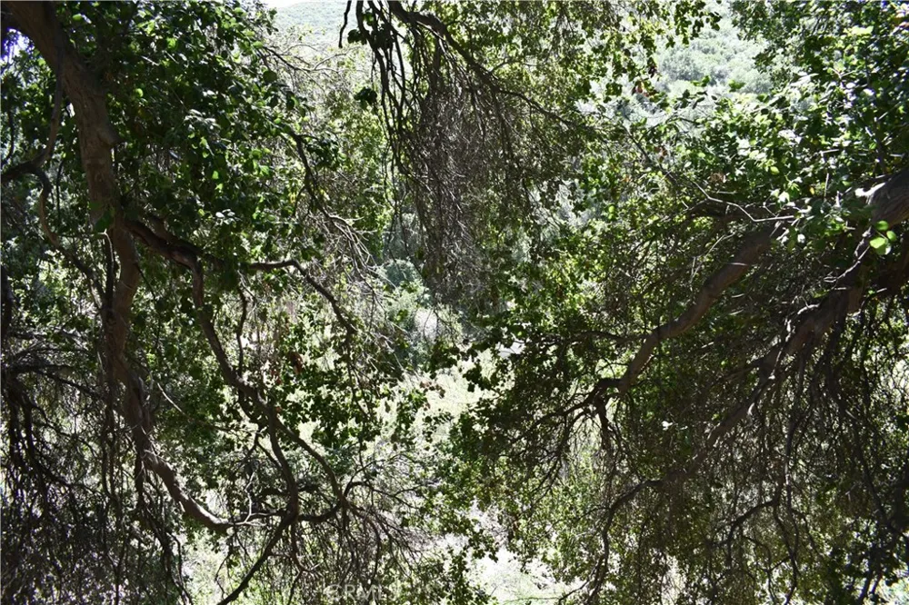 Vac Calle El Baranco/Vic Spunk Green Valley, CA 91350
