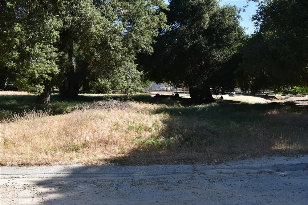 Vac/Sn Luis Potosi/Vic Eljorna Green Valley, CA 91350