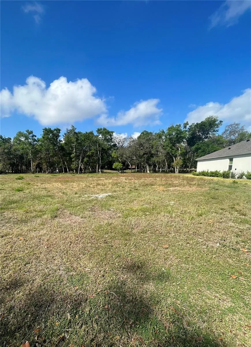 3138 SILVERMINES AVENUE Ormond Beach, FL 32174