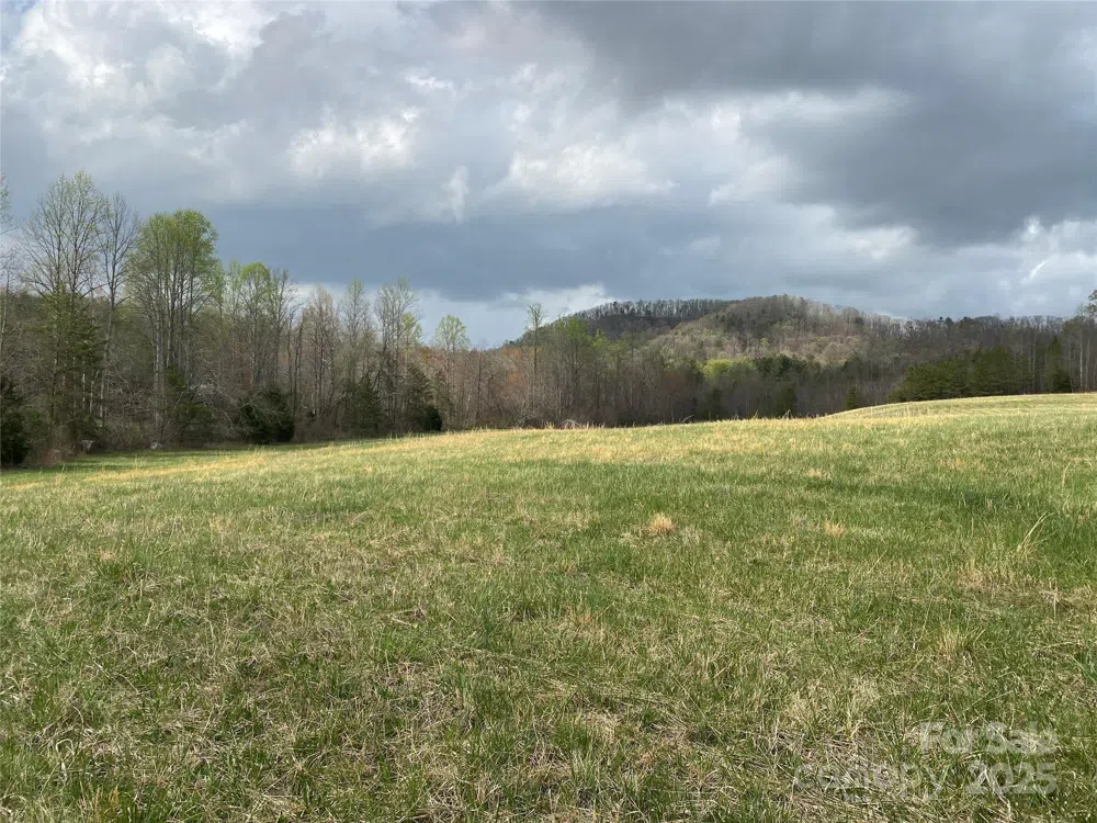 0 Cane Creek Mountain Road Bostic, NC 28018