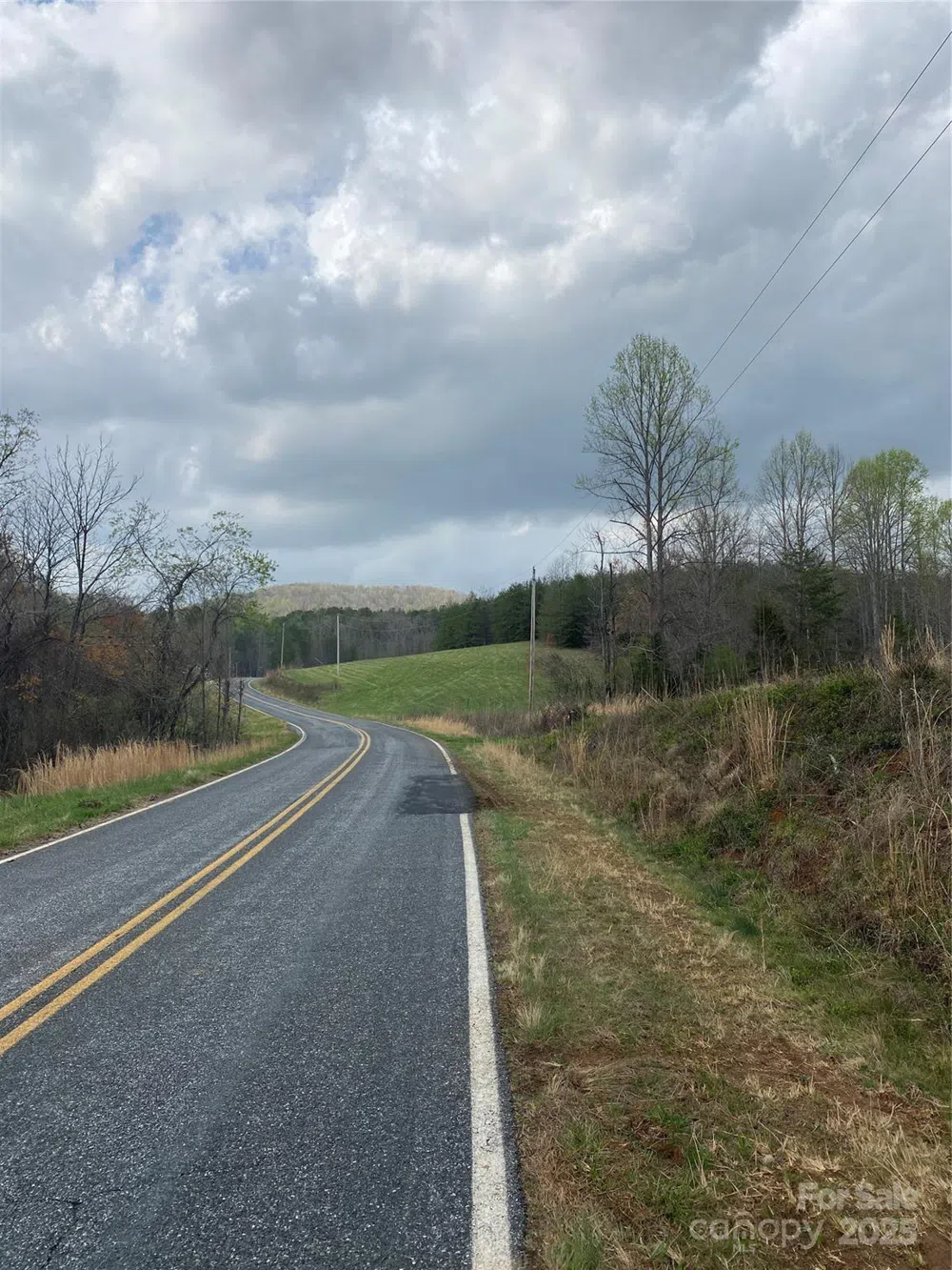 0 Cane Creek Mountain Road Bostic, NC 28018
