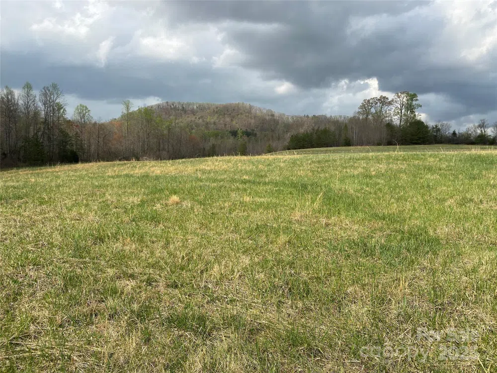 0 Cane Creek Mountain Road Bostic, NC 28018