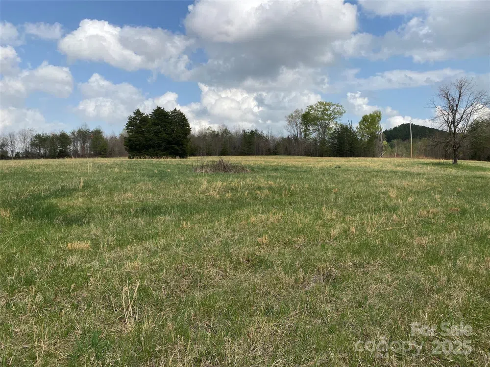 0 Cane Creek Mountain Road Bostic, NC 28018