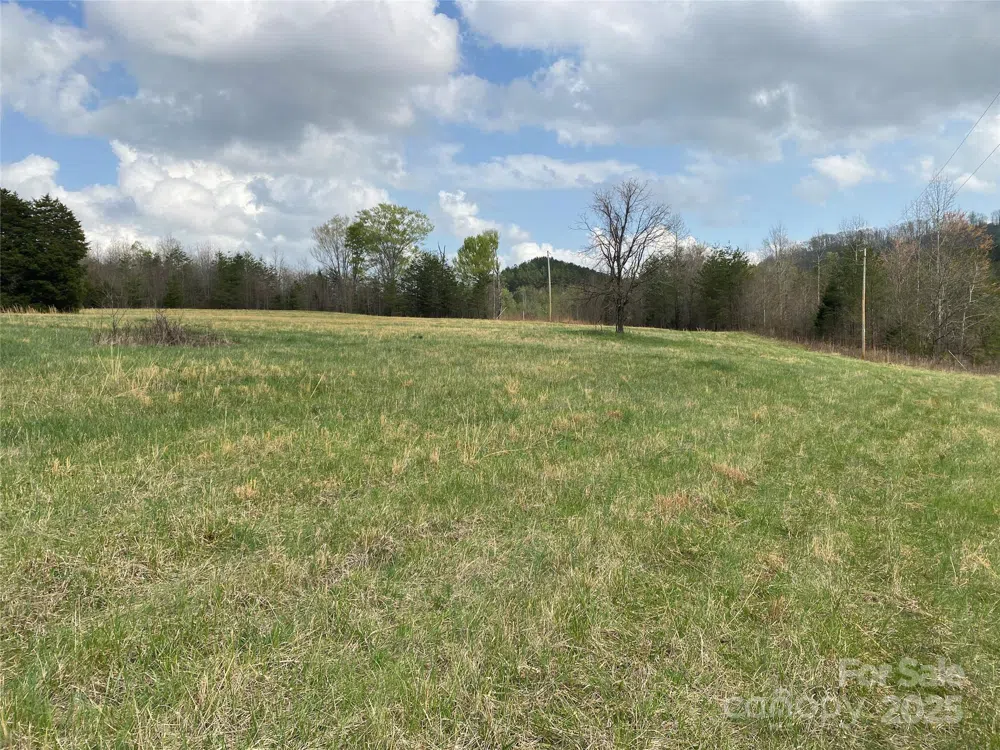 0 Cane Creek Mountain Road Bostic, NC 28018