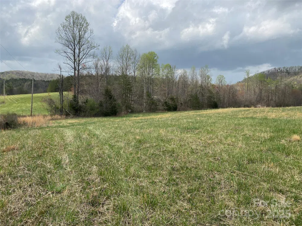 0 Cane Creek Mountain Road Bostic, NC 28018