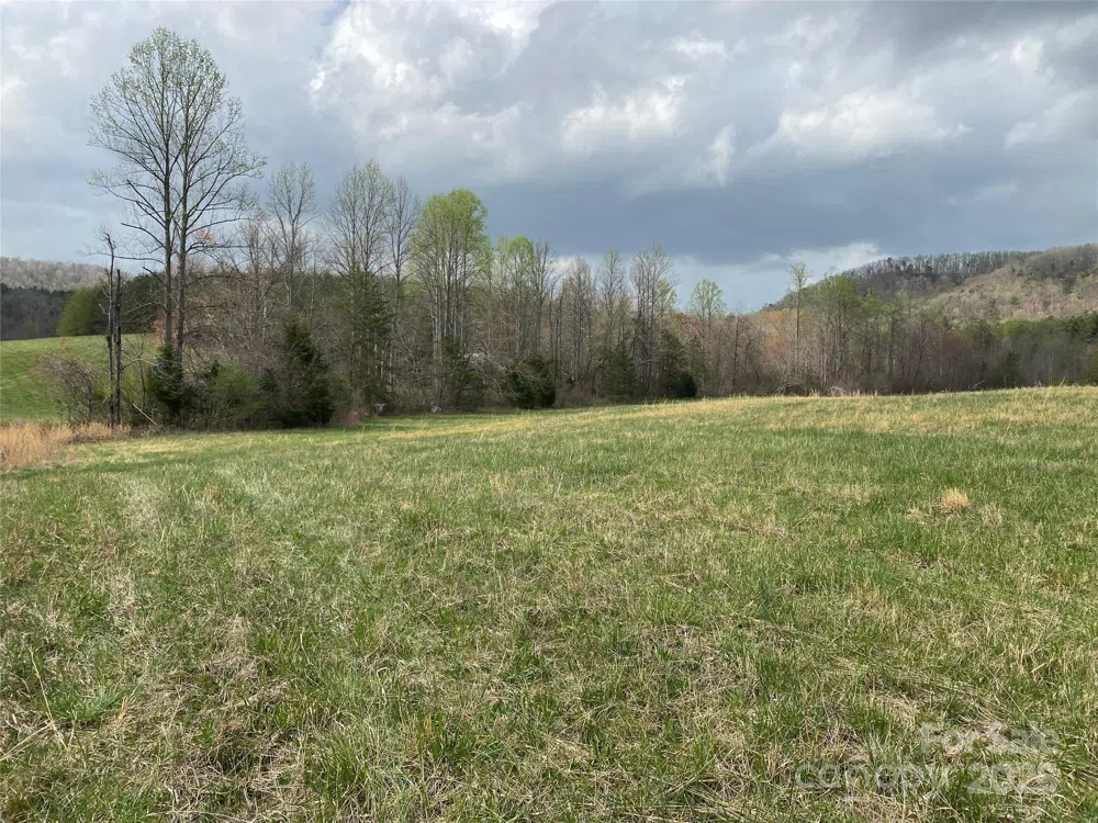 0 Cane Creek Mountain Road Bostic, NC 28018