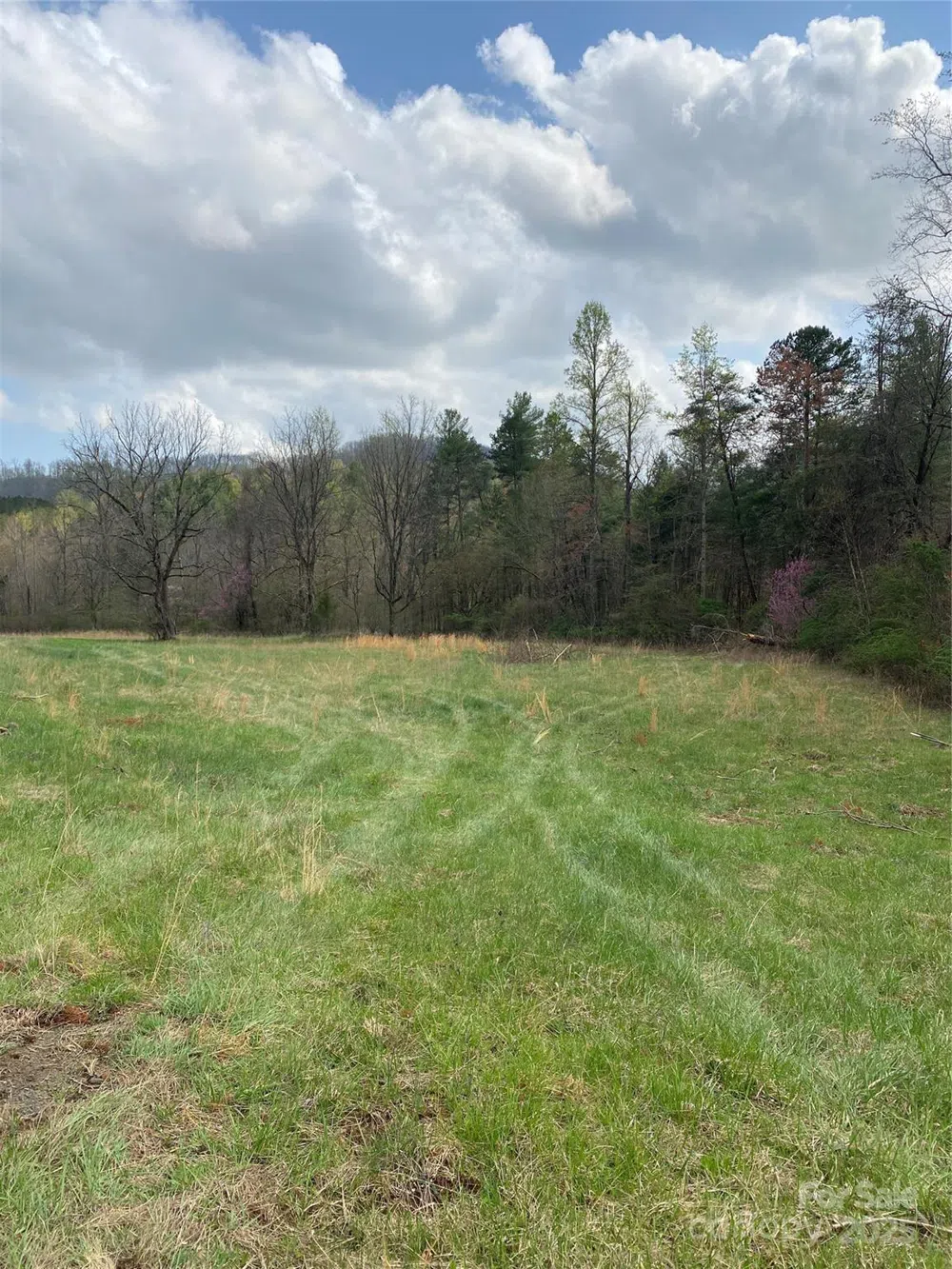0 Cane Creek Mountain Road Bostic, NC 28018