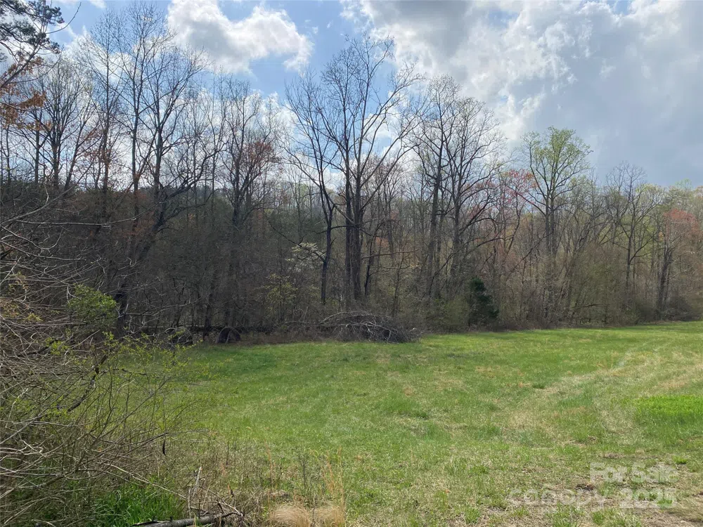 0 Cane Creek Mountain Road Bostic, NC 28018