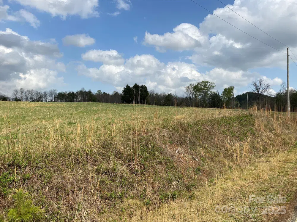 0 Cane Creek Mountain Road Bostic, NC 28018