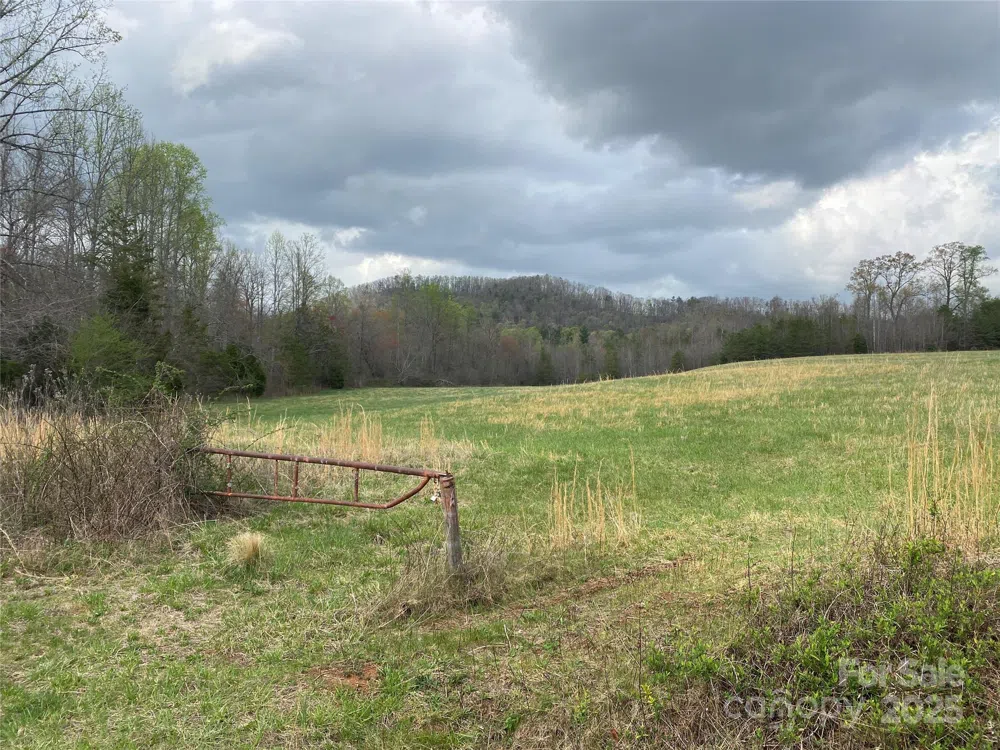 0 Cane Creek Mountain Road Bostic, NC 28018