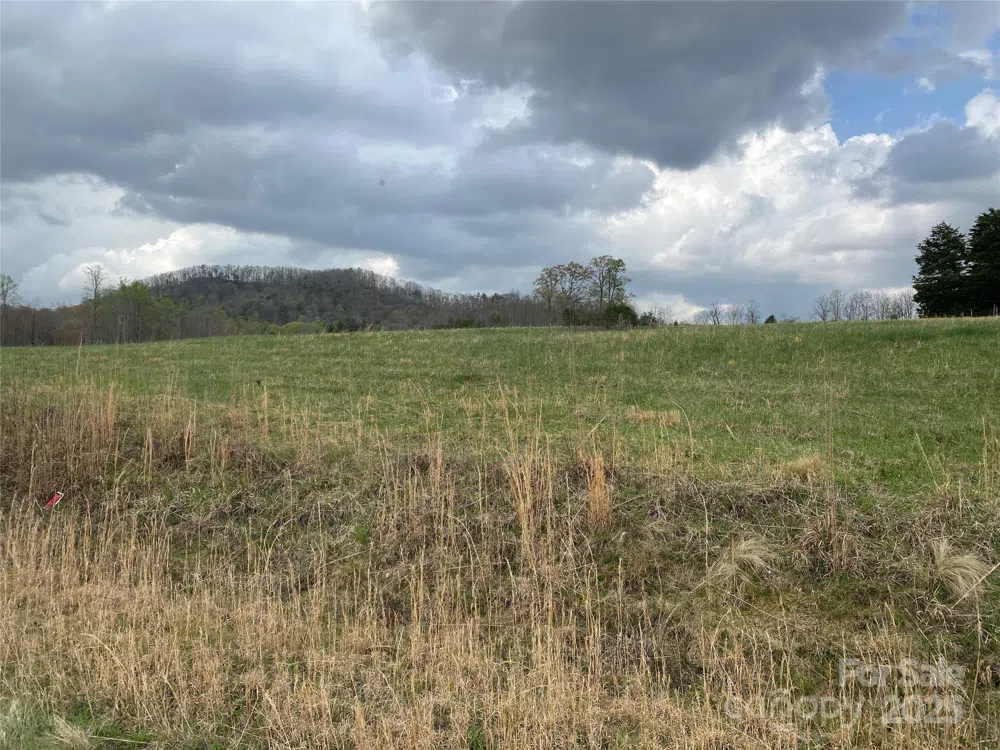 0 Cane Creek Mountain Road Bostic, NC 28018