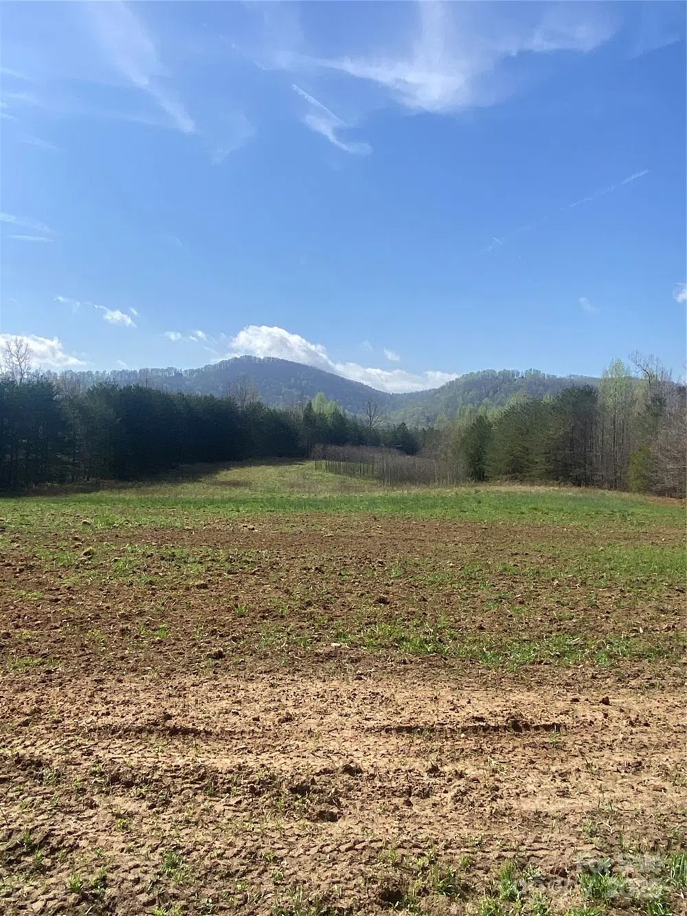 0 Cane Creek Mountain Road Bostic, NC 28018