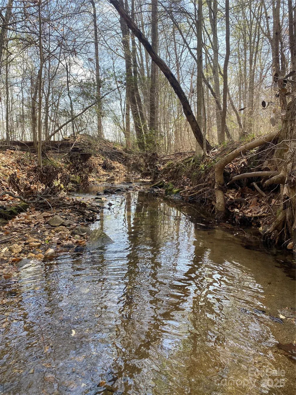 0 Cane Creek Mountain Road Bostic, NC 28018