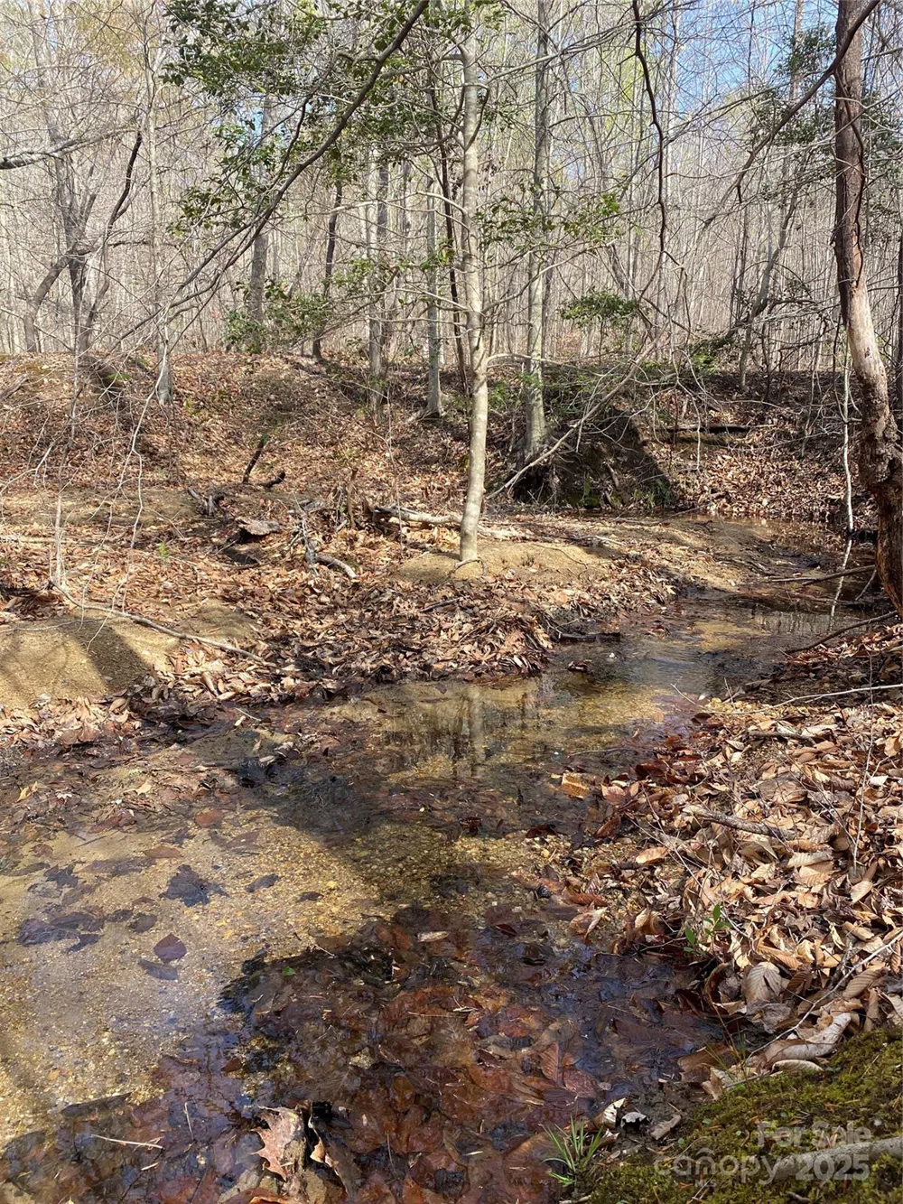 0 Cane Creek Mountain Road Bostic, NC 28018