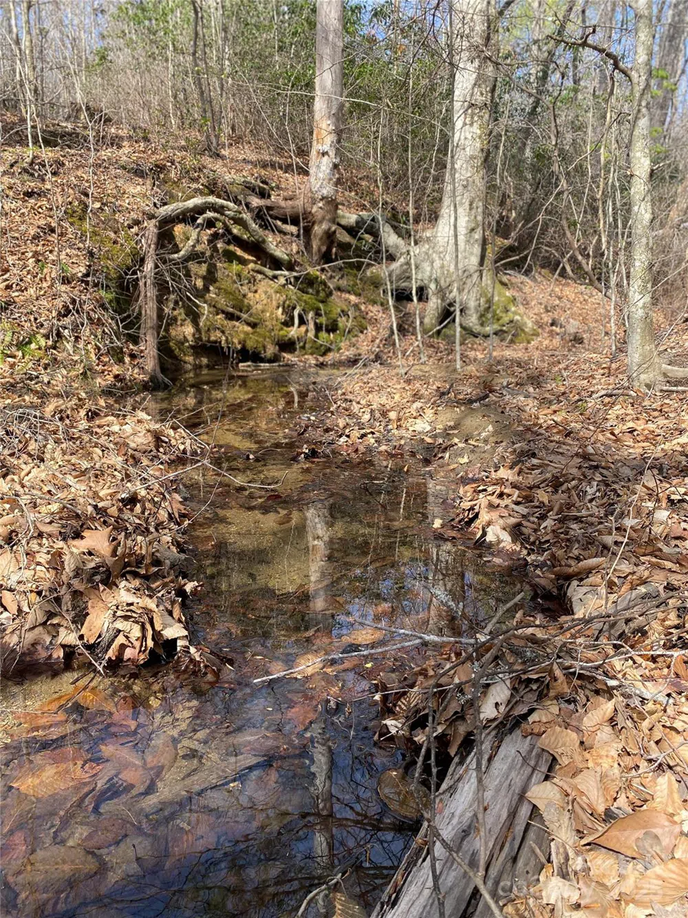 0 Cane Creek Mountain Road Bostic, NC 28018