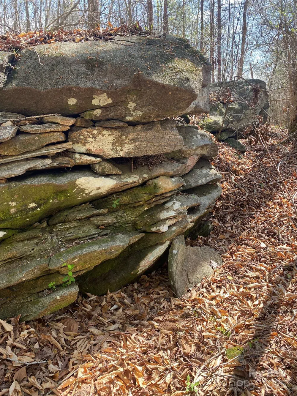 0 Cane Creek Mountain Road Bostic, NC 28018