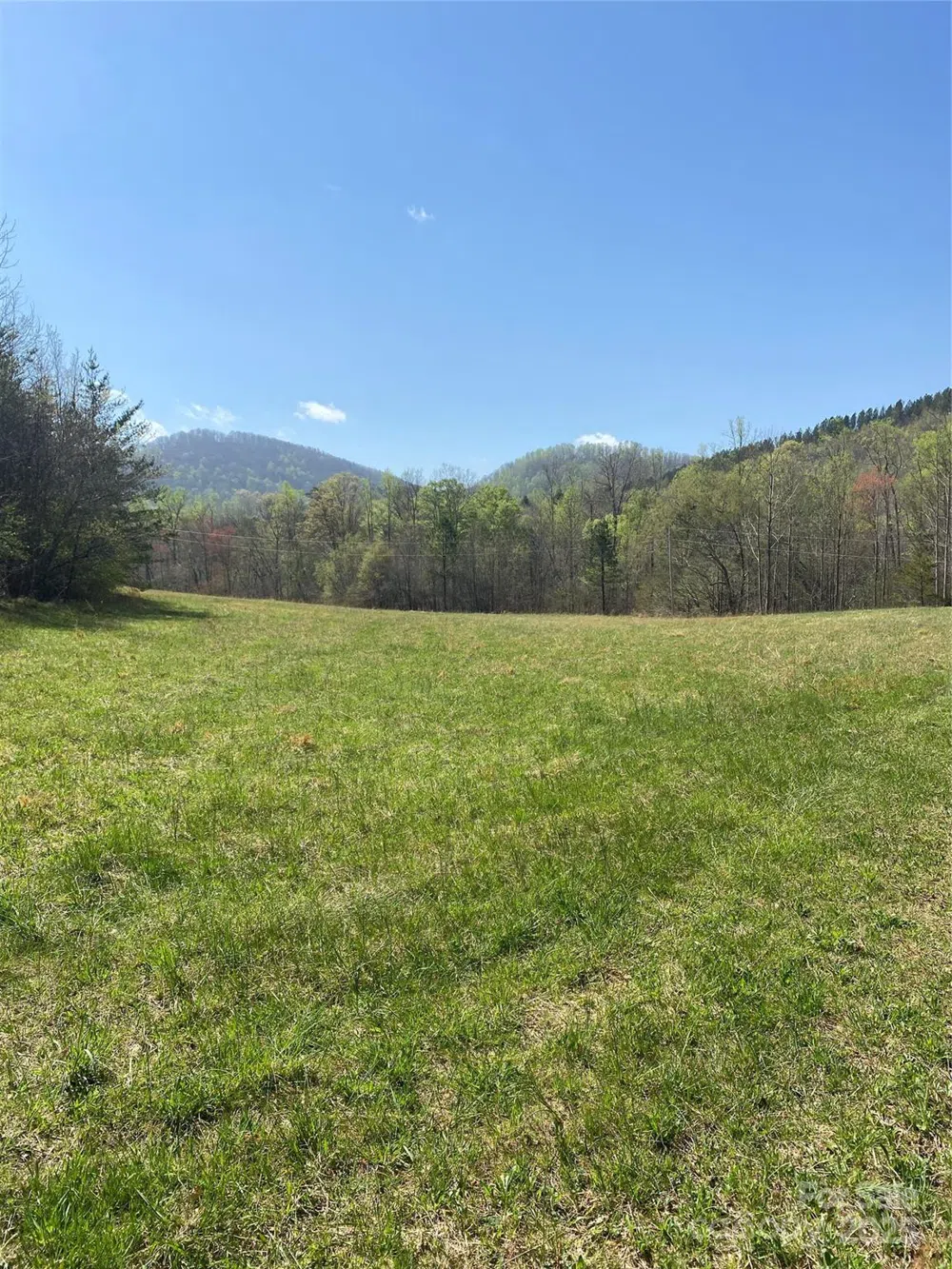0 Cane Creek Mountain Road Bostic, NC 28018