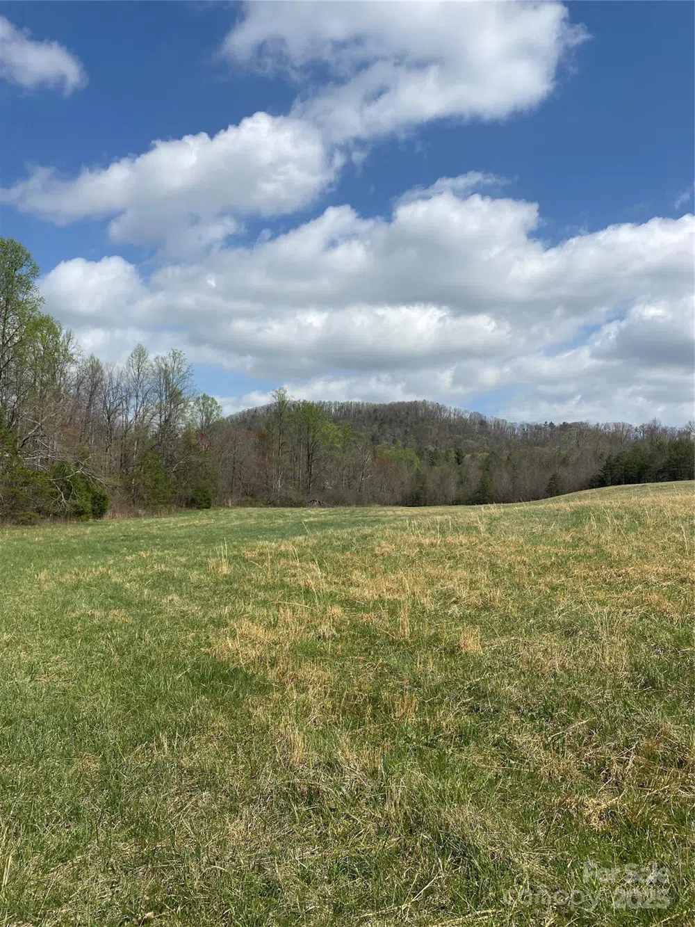 0 Cane Creek Mountain Road Bostic, NC 28018
